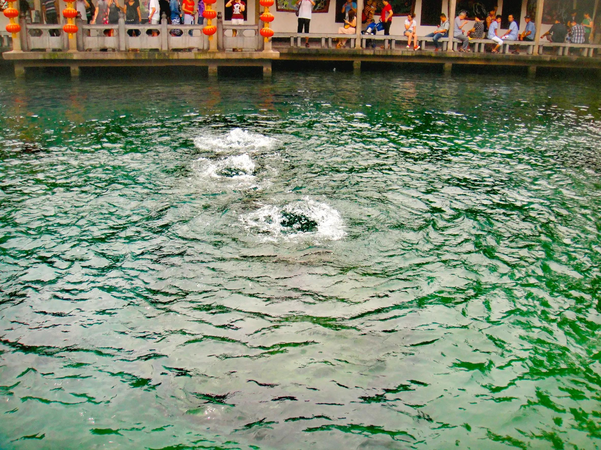 趵突泉天下第一泉风景区,济南天下第一泉景区是趵突泉吗