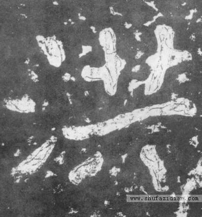 洪字千字文全文,洪字千字文解释