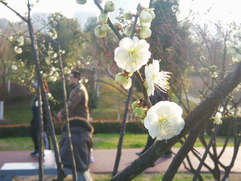 漫步河畔公园全景图,漫步公园美景