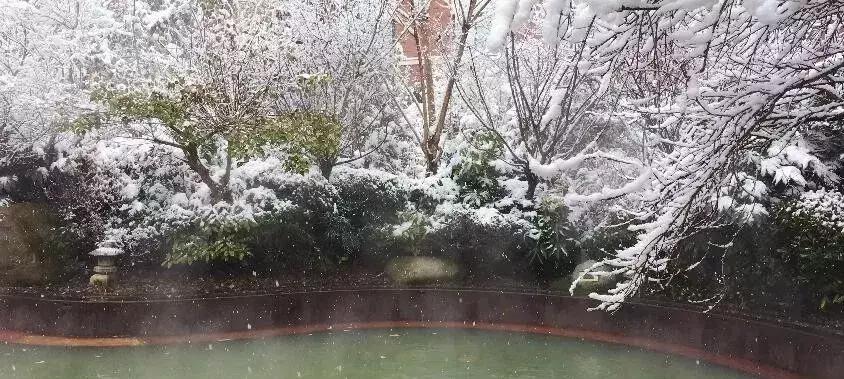 2天1夜旅游攻略成都耍雪,成都周边耍雪一日游攻略