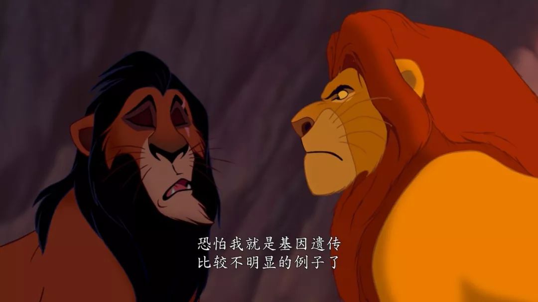 狮子王动画片1994原版深度解读,学了三年动画还原狮子王