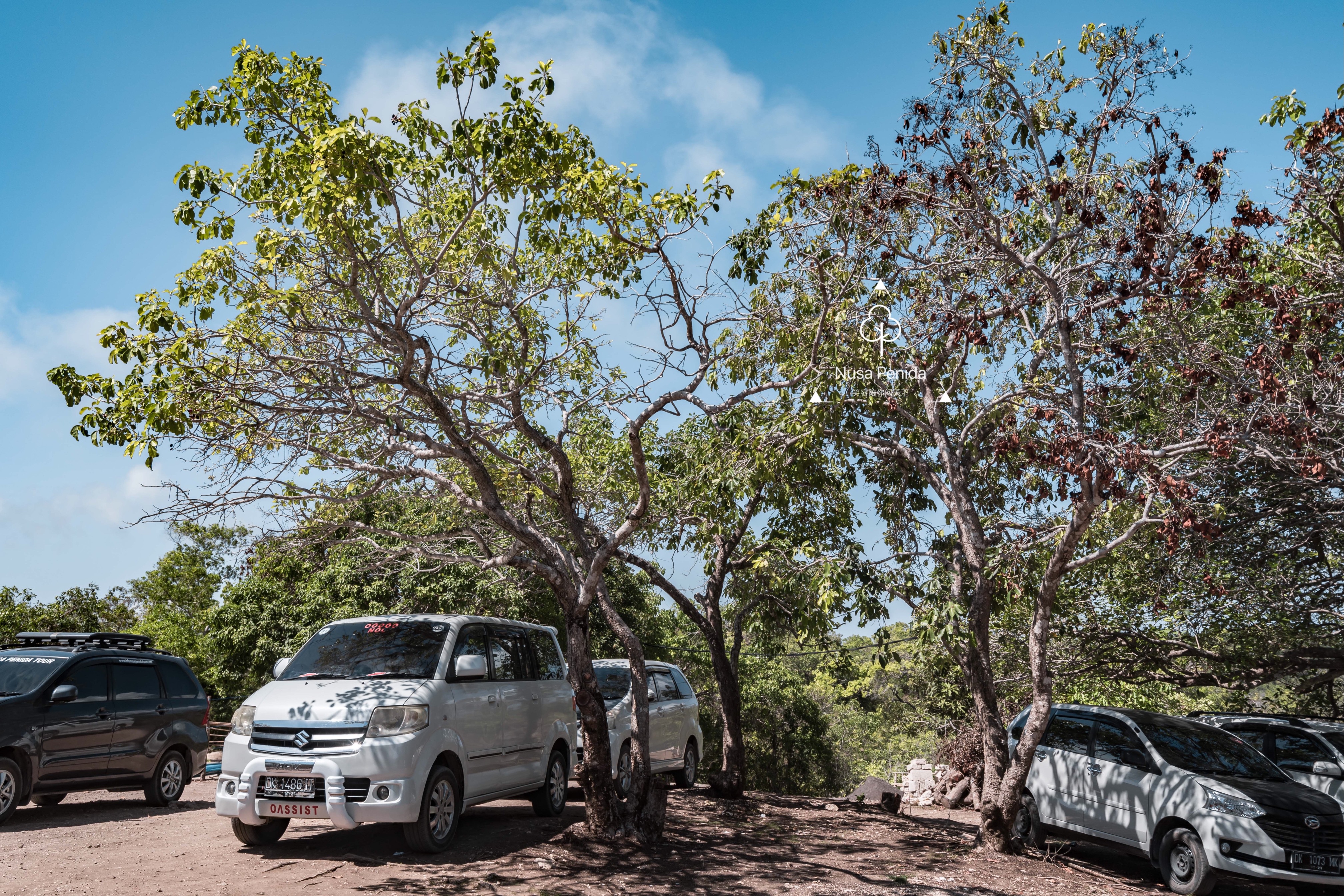 巴厘岛网红打卡地,网红打卡旅游胜地巴厘岛