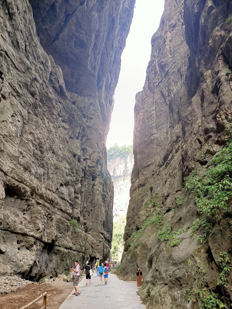 大美武隆仙女山,畅游重庆武隆区仙女山