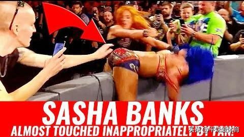 wwe莎夏班克斯被暴打,wwe莎夏班克斯会回归吗