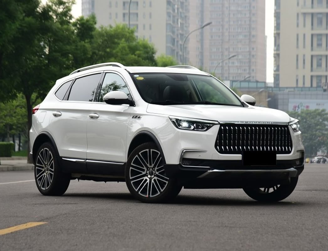 猎豹全球销量,2018年的猎豹