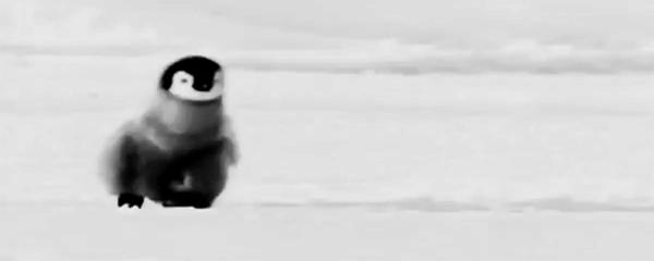 央视六公主有多傲娇,傲娇六公主cctv6