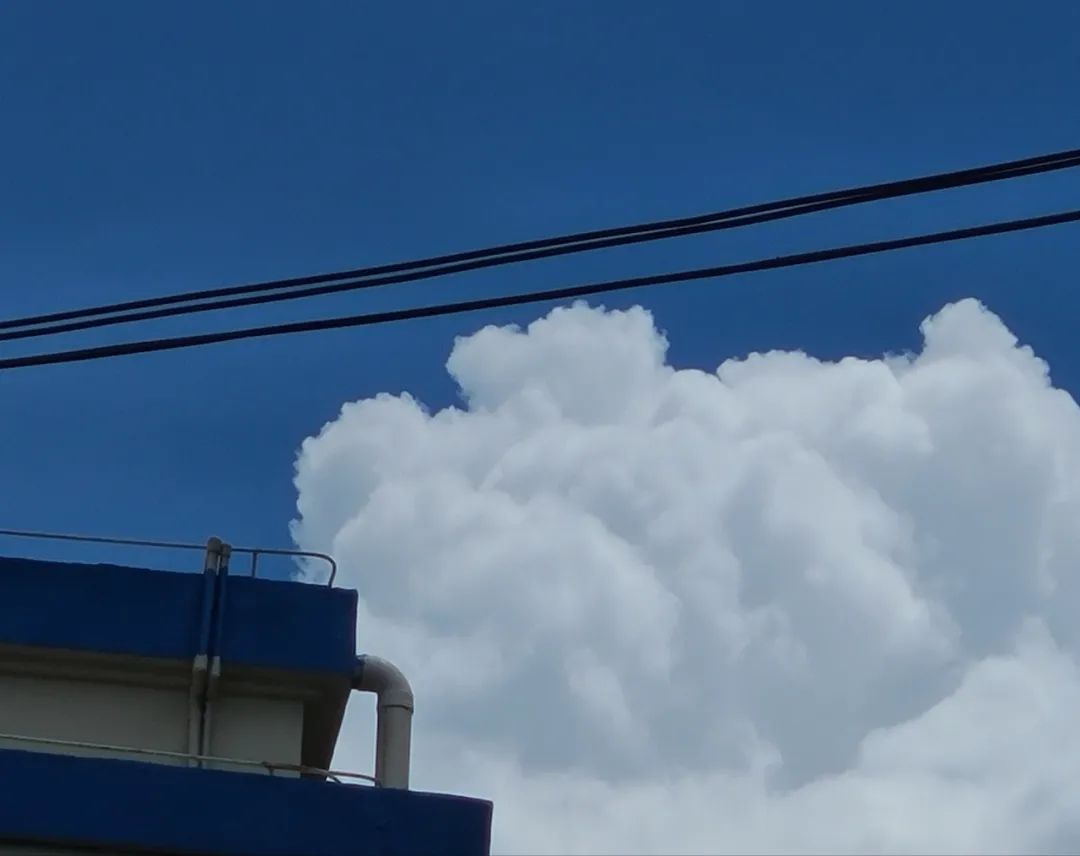 海南之行记录全集,海南之行的记录