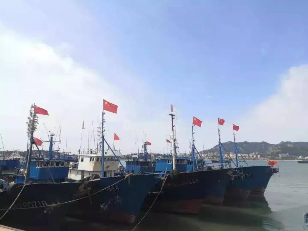 青岛开海了新鲜肥美的海鲜已上市,青岛开海红岛海鲜八大关