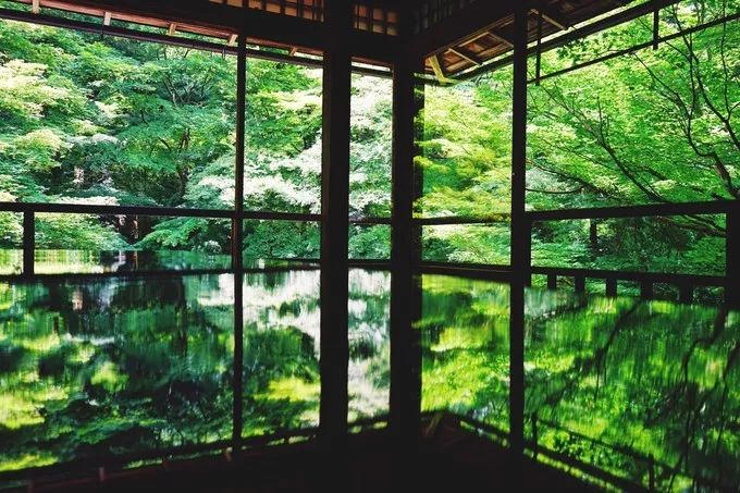 不一样的大阪三日游，瑠璃一束光，值得一来再来