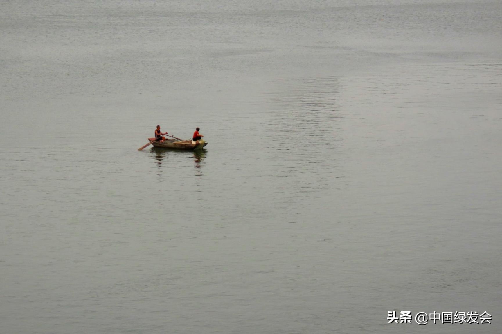 红尾鲶在亚马逊河的地位,亚马逊入侵物种