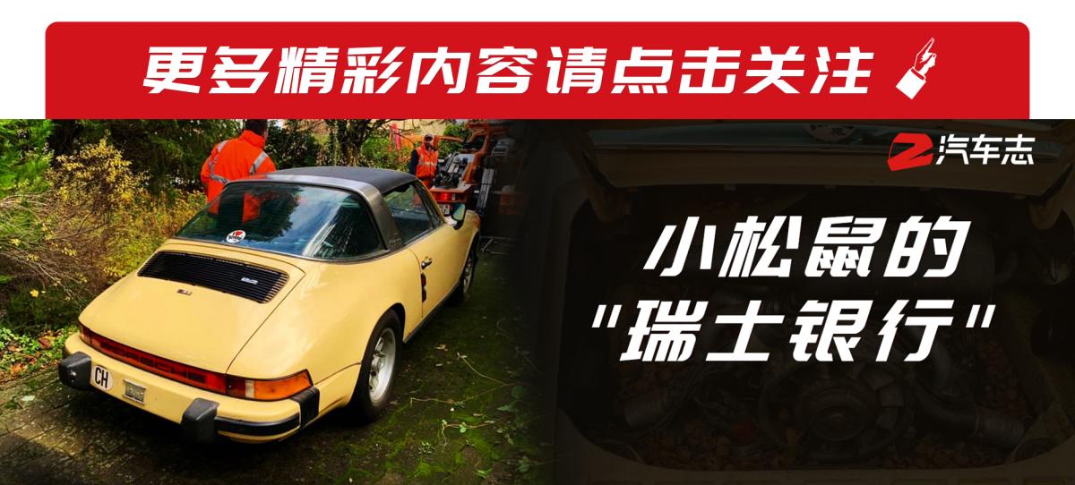 用保时捷911来存粮食，在瑞士连松鼠的生活品质都那么高