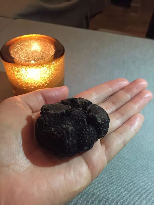 「慢达世界」第八十六期：舌尖上的巴黎