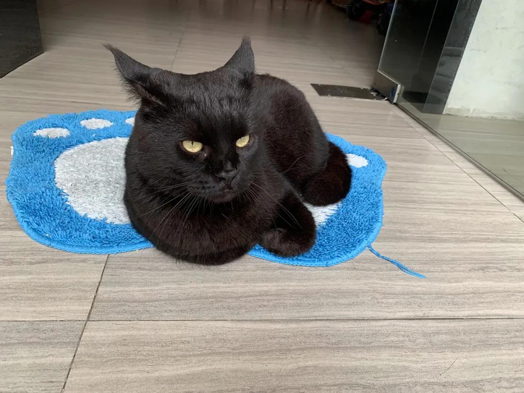 一次惬意的厦门之行,一家三口厦门玩四天