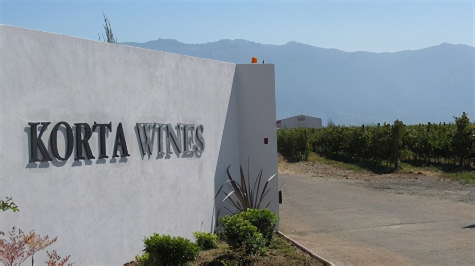 太阳峰酒庄智利名庄,智利寇塔酒庄