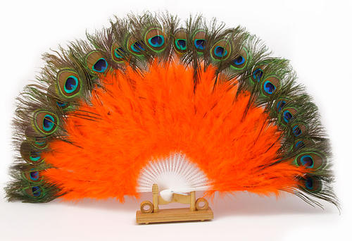 从折扇文化看明清发展在世界的变化