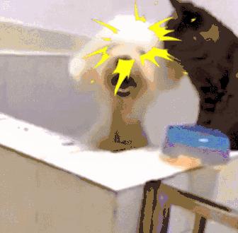 “她用的居然是卫生棉条，一定不是好女孩……”