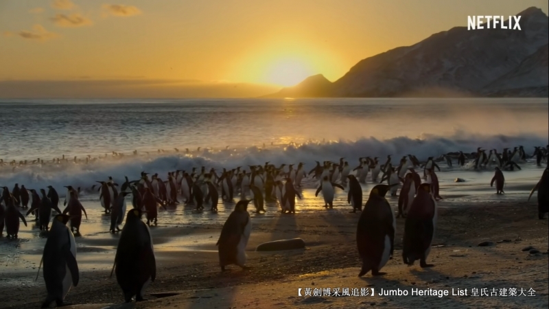 第40次南极科考南极行记,坚忍号的南极探索的纪录片