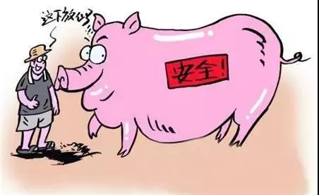 收藏｜史上最全的非洲猪瘟复养方案