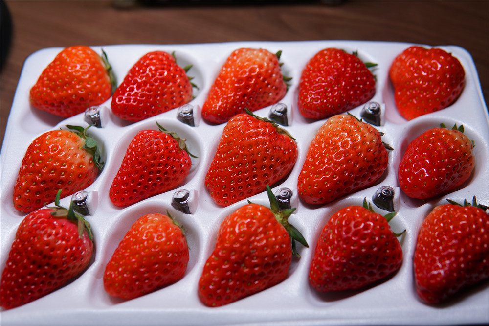 如何在网上买到真草莓,怎么在网上买正宗丹东草莓