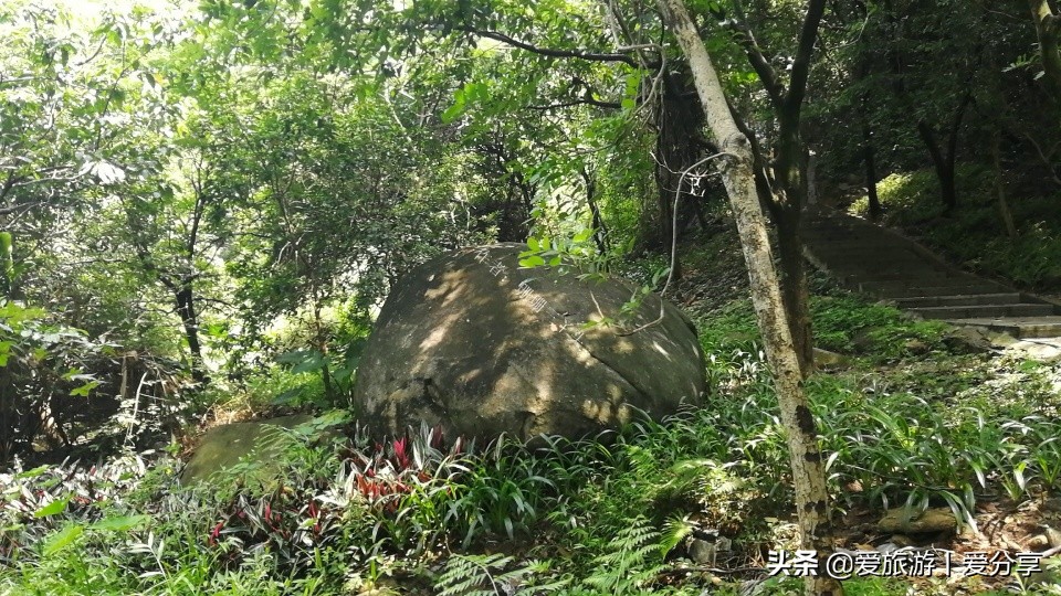 广州附近登山好去处,广州天堂顶徒步登山最佳路线