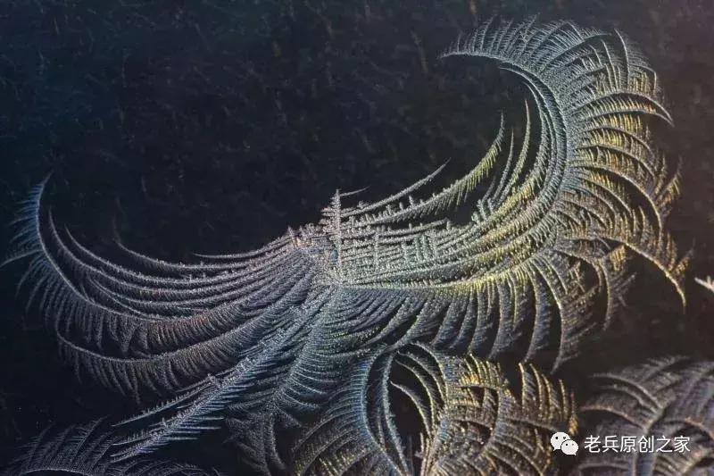 小年礼物赋佳木斯女诗人等诗