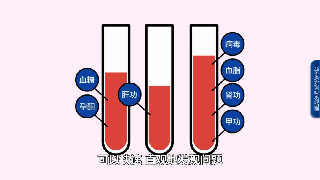 【科普动画】怀孕了，该做什么准备？