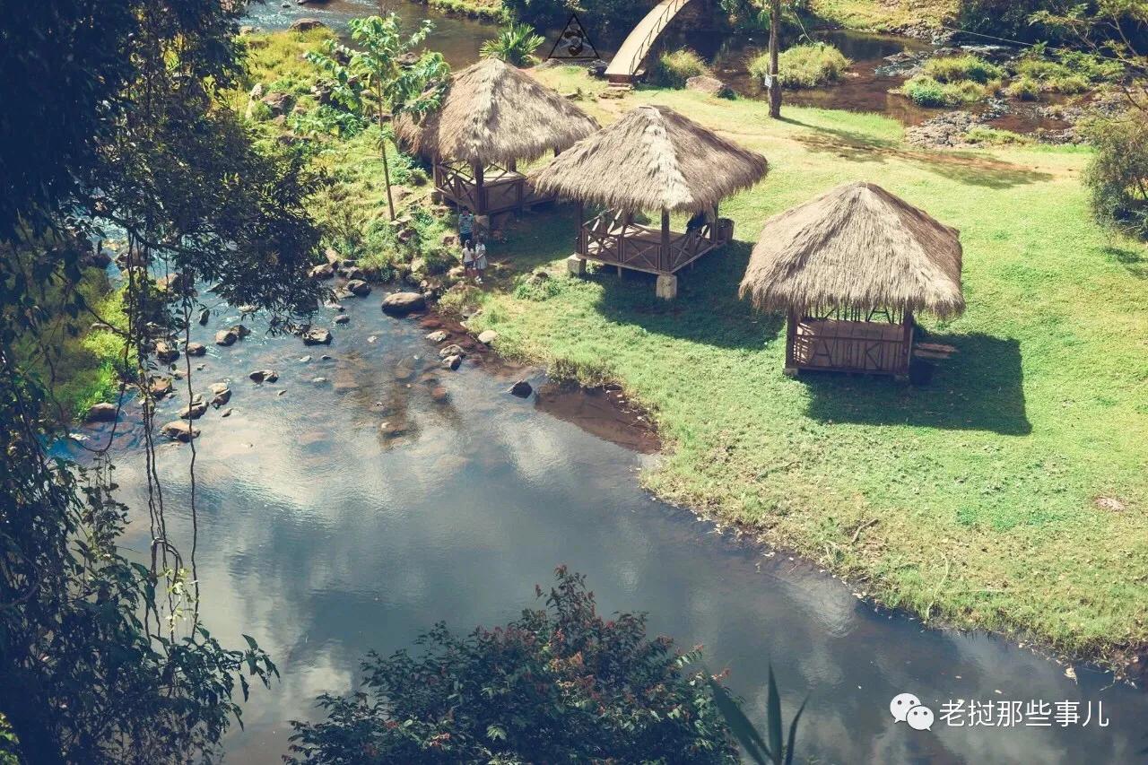 老挝咖啡介绍,最火爆的老挝咖啡