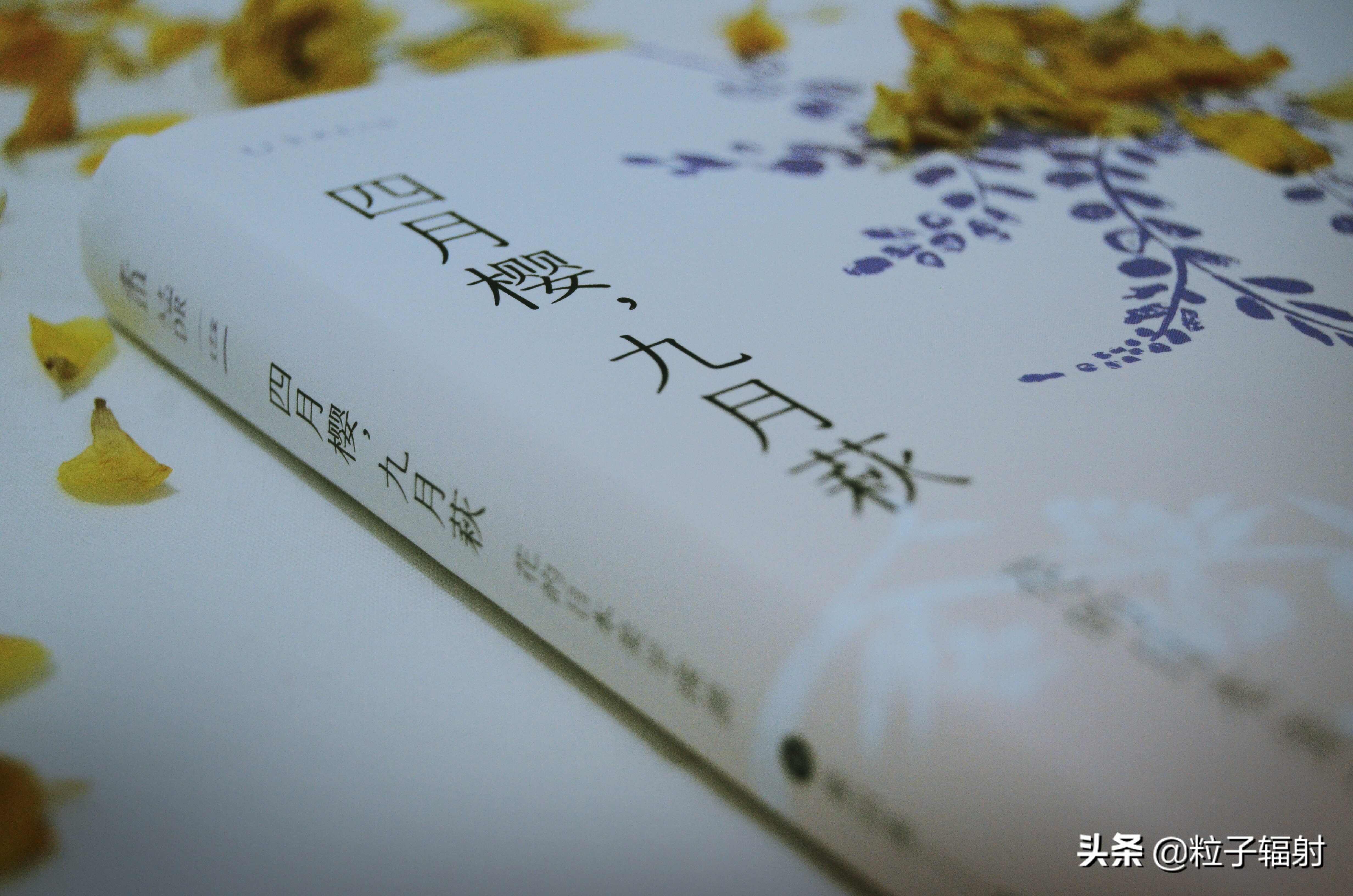 写给春天的告白情书,写一封告白的情书