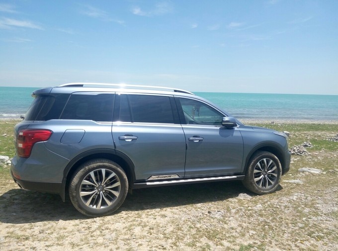 青海湖湟鱼洄游古诗词,青海湖湟鱼为什么洄游