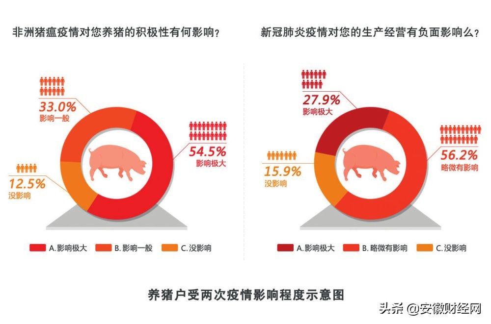贩运生猪怎么能赚钱呢,在屠宰场批发生猪好赚钱吗