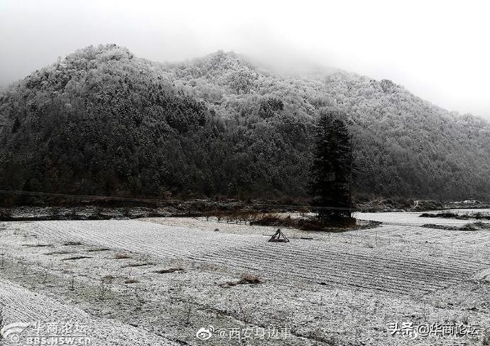 陕西13岁女孩遭姑父暴打,平利一女生遭猥亵