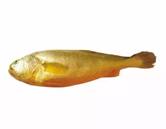 海南渔民整理的海鲜大全,渔民海鲜介绍