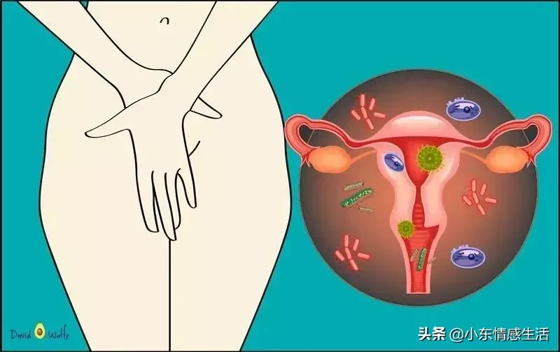 怎样保持血管干净和健康,如何保持血管干净与健康