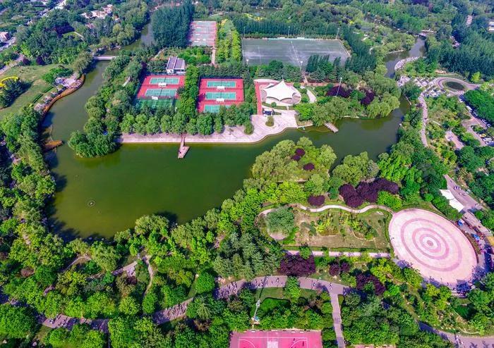 运动公园有哪些项目,一站式运动公园