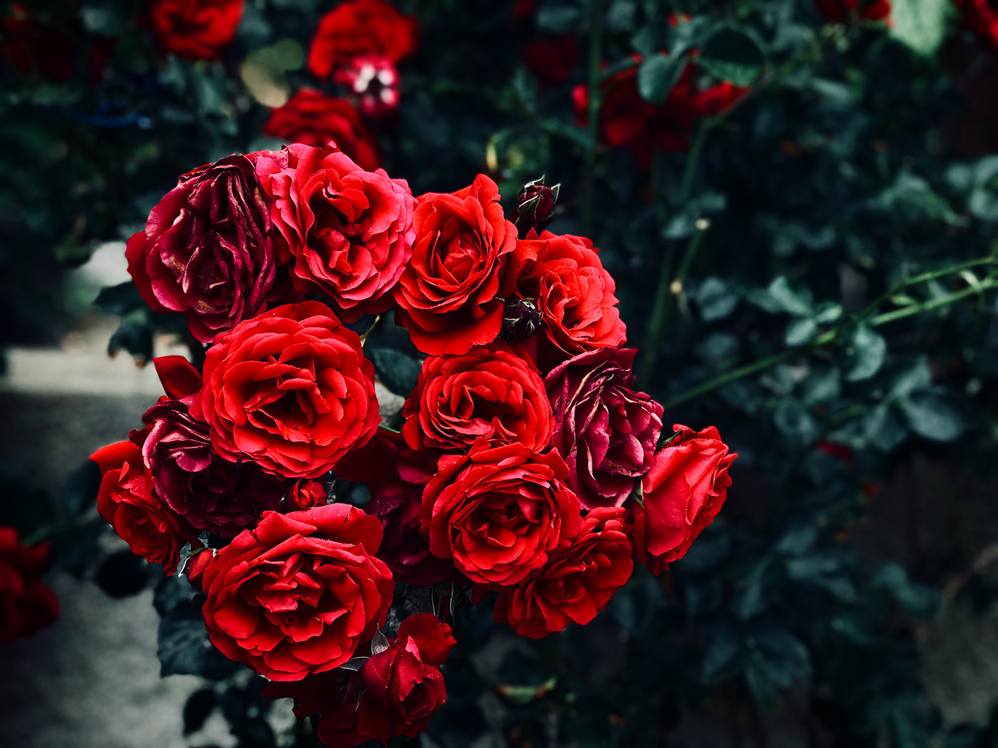 10-15岁女孩礼物高档生日礼物,20岁生日礼物推荐女生礼物排行榜