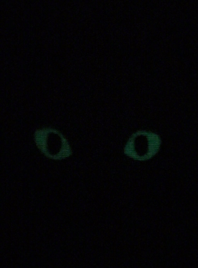 晨看*疆新**｜*疆新**已有35家医疗机构被取消定点资格，十二生肖*物文**乌市博物馆开展