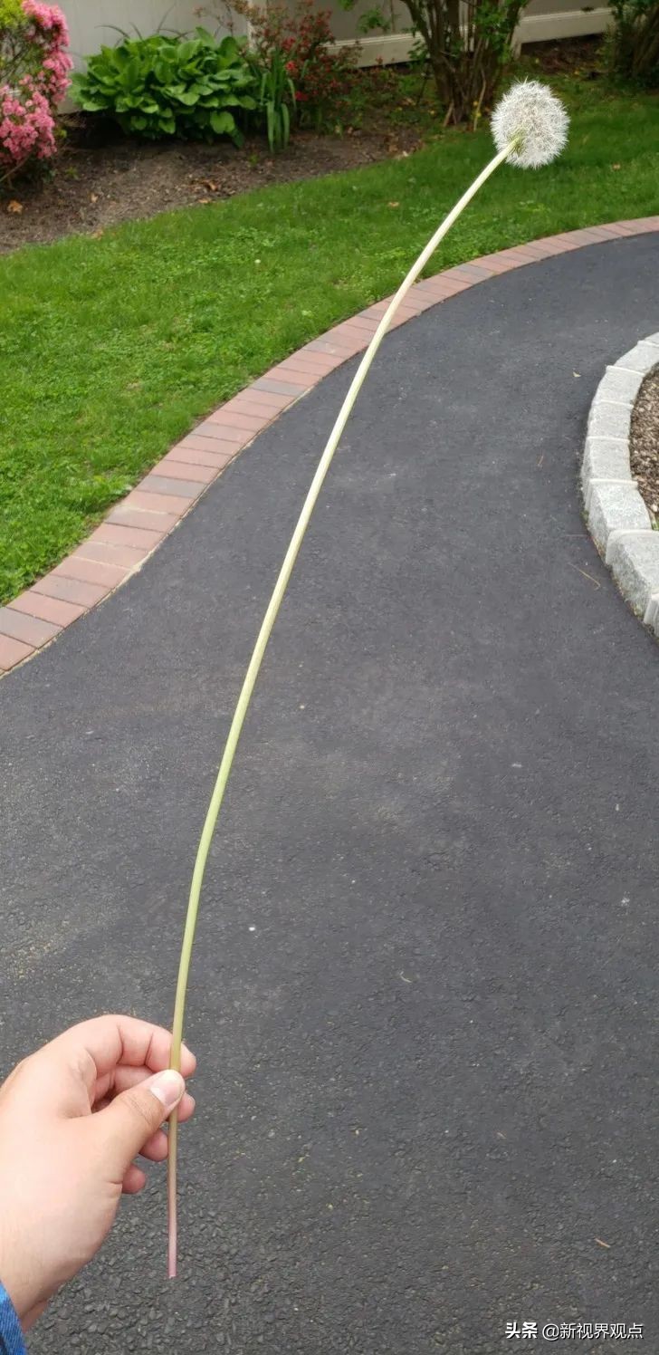 这组很少见的图片，看完知识储备量又增加了