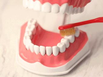 牙黄最有效变白方法,牙黄变白的正确方法学生党