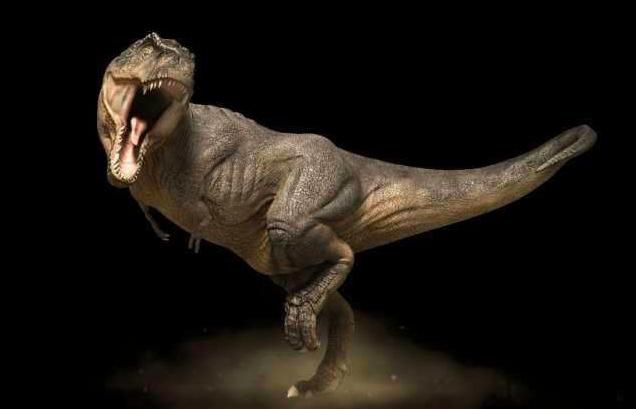 恐龙是怎么繁衍的,恐龙繁衍的过程