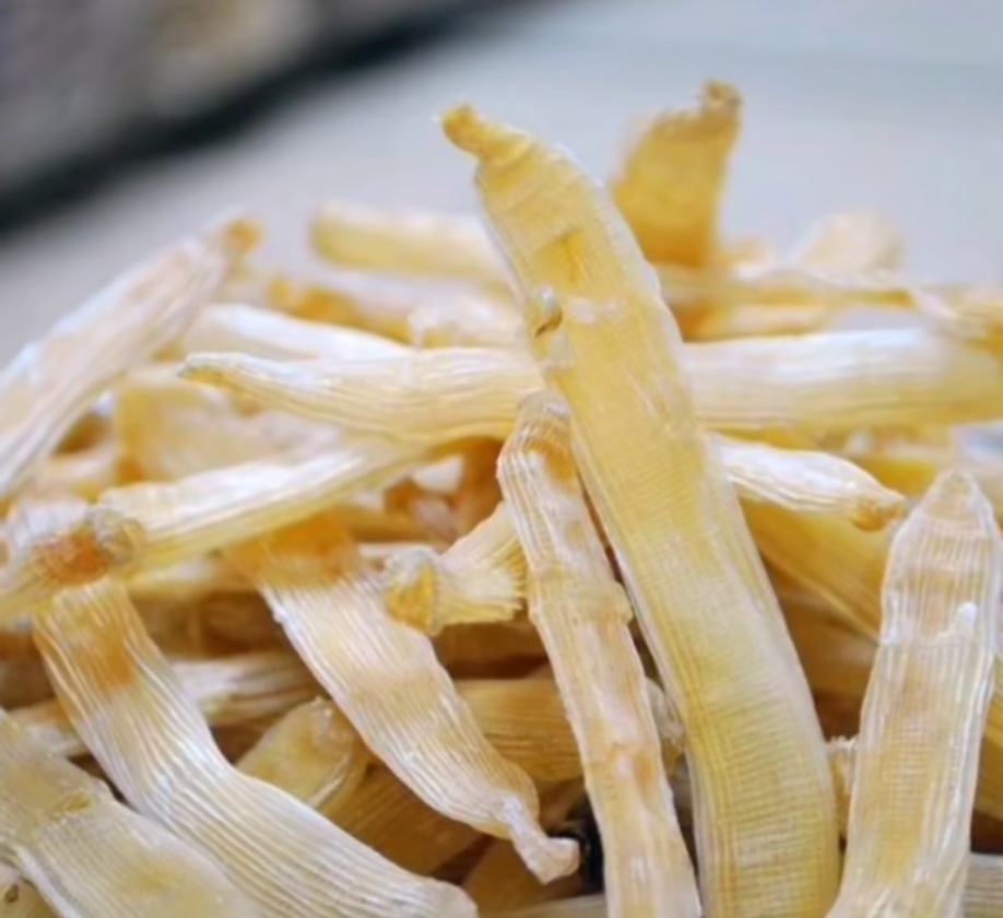 有关虫子的特色美食,美食虫子视频大全