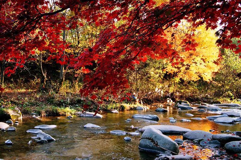 辽宁有个城市叫什么新市,辽宁有个城市叫葫芦岛吗