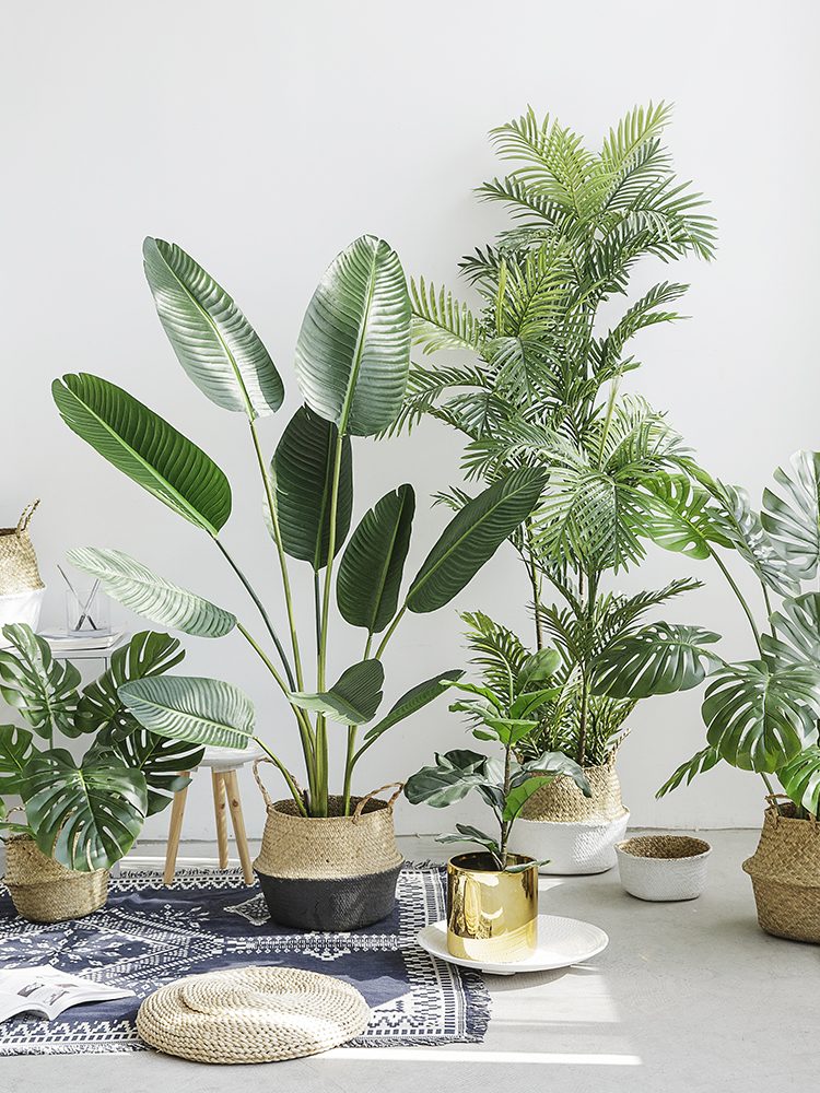 最具设计的淘宝店,设计淘宝店铺上哪儿找