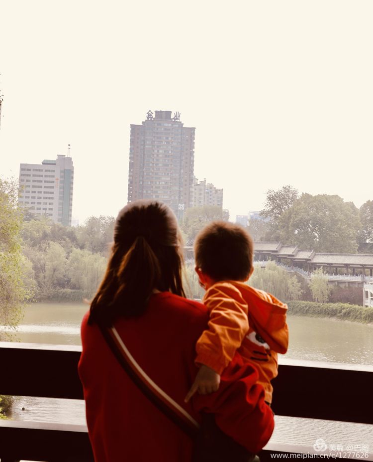 看洛阳牡丹花卉节,洛阳古都牡丹花展