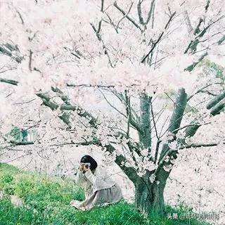 安卓高级朋友圈九宫格晒图,出去玩高级朋友圈九宫格晒图