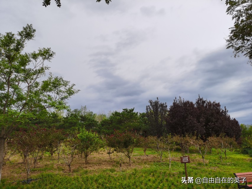 南海子湿地公园攻略,南海子湿地公园分布图