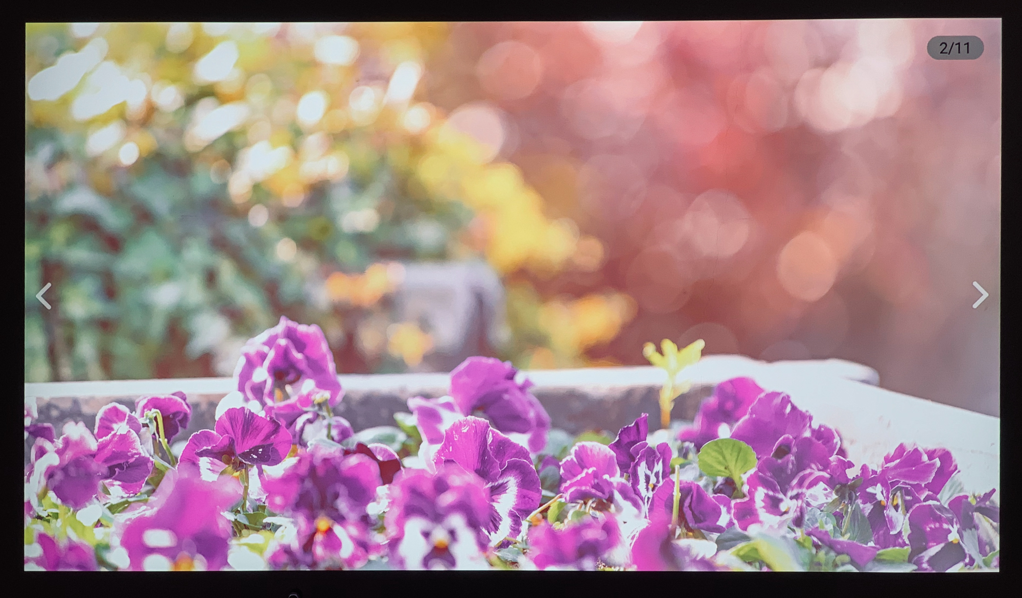 明基i707投影如何调整最佳,明基i750投影缺点