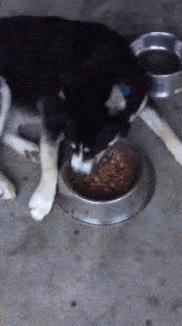 只能亮度调亮才能看得懂的梗,调高亮度才能看懂的梗