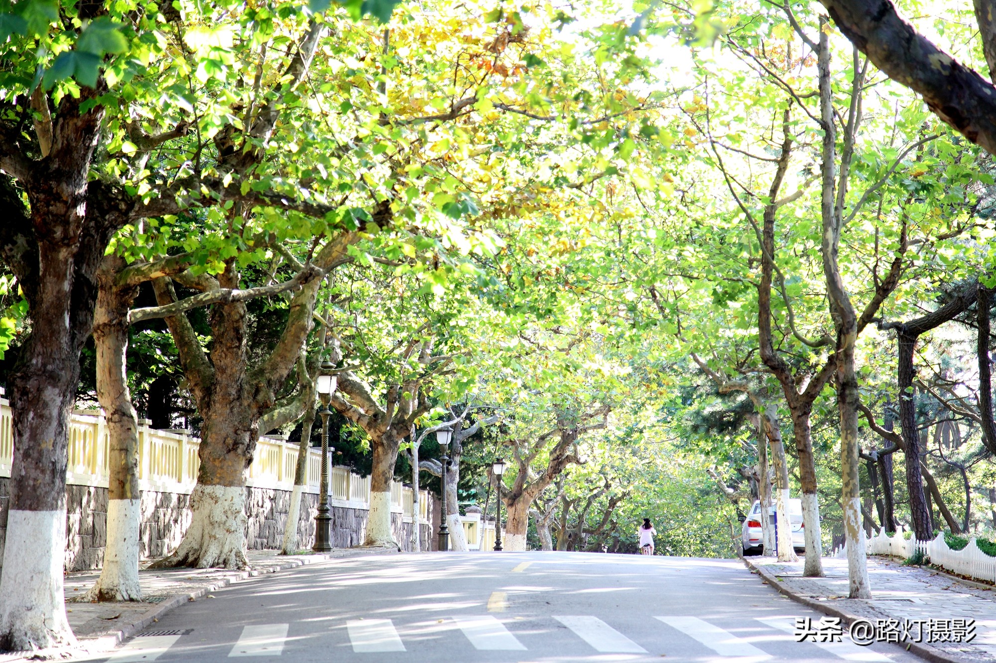 青岛旅游攻略秋冬景点推荐,夏天青岛旅游小众景点推荐