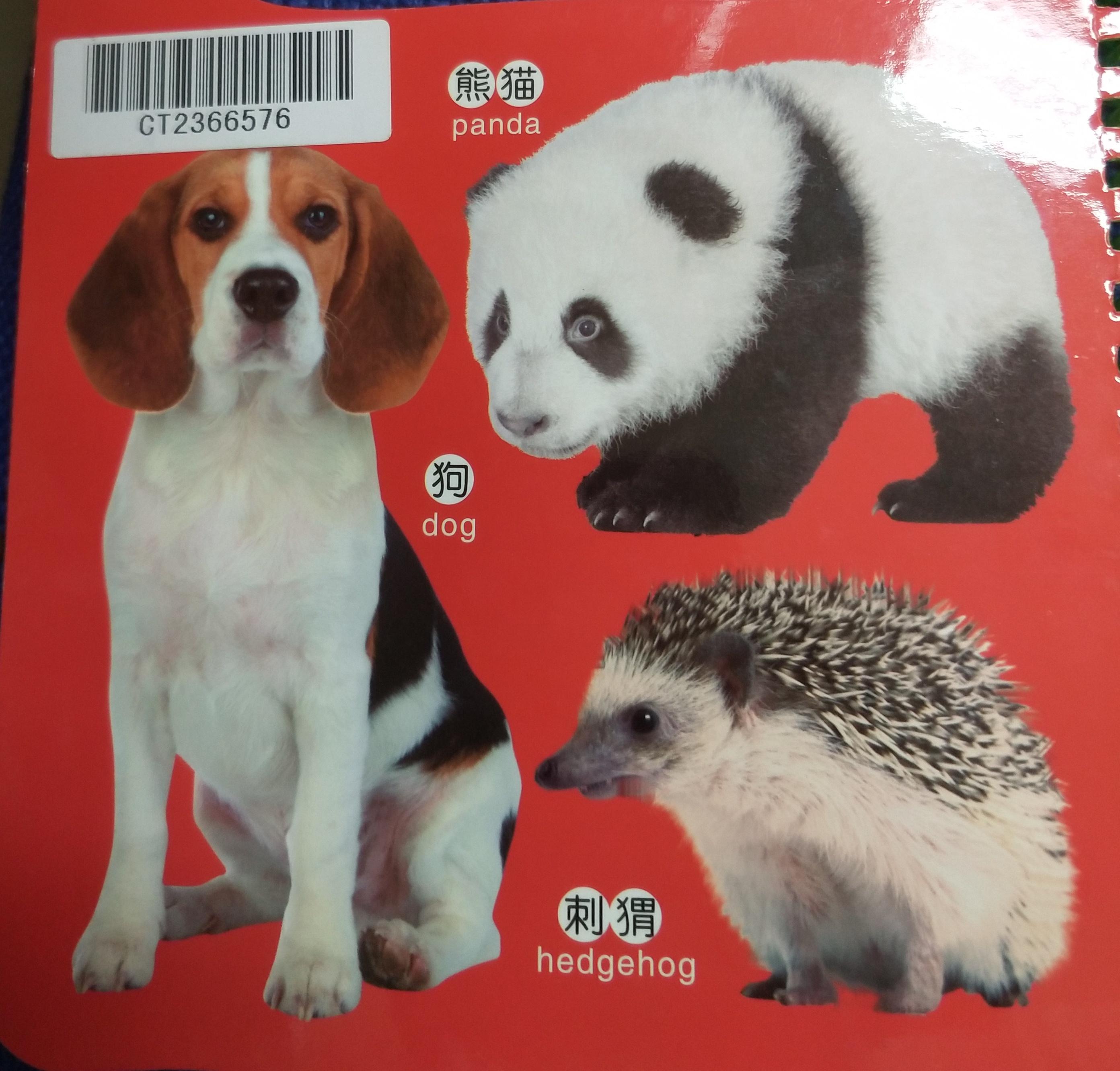 关于动物的绘本双语版,最会逃生的动物绘本