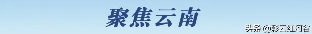 早fun丨长达50米的3D花墙横空出世，昆明再现宝藏打卡地